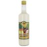 Bologne - Punch Pina Colada 16�