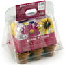 Radis Et Capucine - Mini serre fleurs 6 pots
