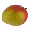  - Mangue Kent