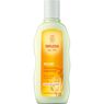 Weleda - Shampooing Bio R�g�n�rant � l'Avoine