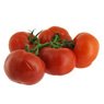  - Tomate grappe 