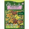 Truffaut - Oeillet d'Inde miniature vari�