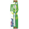 Signal - Brosse � dents expert dure