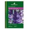 Truffaut - 25 gla�euls Blue lagon