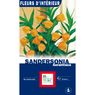 Turc Ernest - 1 Sandersdonia Aurantiaca 