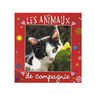 Piccolia - Cub'images- Les animaux de compagnie
