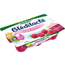 Bl�dina - Bl�dilact� - Cr�me dessert � la framboise d�s 6 mois