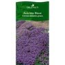 Truffaut - Aubri�te graeca Bleue