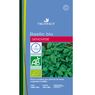 Plus Belle Sera La Terre - Basilic Genovese Bio