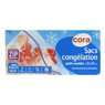 Cora - Sacs cong�lation avec zip petit mod�le