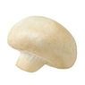  - Champignon blanc