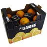  - Orange Le Gamin 