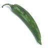  - Piment vert