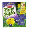 Materne - Pom'Potes pomme Myrtille