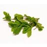  - Menthe