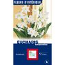 Turc Ernest - 1 Eucharis Amazonica 