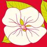 Lotus - 20 serviettes papier tendance