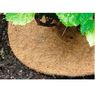 CELLOPLAST - Disque coco biod�gradable
