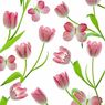 Paperproducts Design - 20 serviettes papier tulipes
