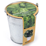 Radis Et Capucine - Pot zinc 12 cm Basilic 'Grand Vert' Bio