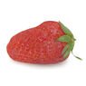  - Fraise Guariguette