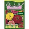 Truffaut - Zinnia g�ant de Californie vari�