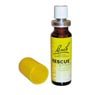 Bach - Rescue spray