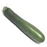 Fort & Vert - Courgette bio