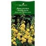 Truffaut - Rose tr�mi�re double Jaune