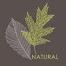 Lotus - 20 serviettes natural