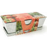 Radis Et Capucine - Jardini�re zinc Fraisiers