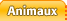 boutique Animaux
