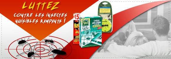 Luttez contre les insectes nuisibles rampants