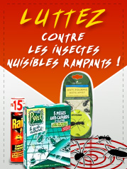 Luttez contre les insectes nuisibles rampants