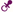t�tine viollette