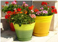 Pots et bacs color�s