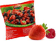 Fruits