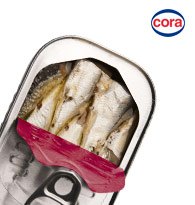 Conserves poissons