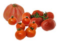 Tomate