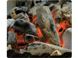 Combustibles barbecues
