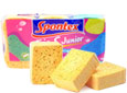 Eponges non grattantes