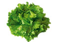Salade