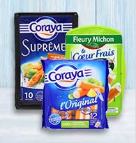 Surimi