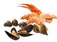  Coquillages et crustac�s