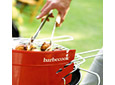 Barbecues et charbon de bois