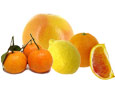 Cl�mentine, Orange, Citron
