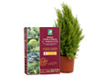 Engrais arbustes et conif�res