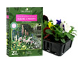Engrais fleurs de balcons et jardins