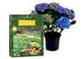 Engrais plantes de terre de bruy�re