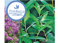 Haies et biodiversit�